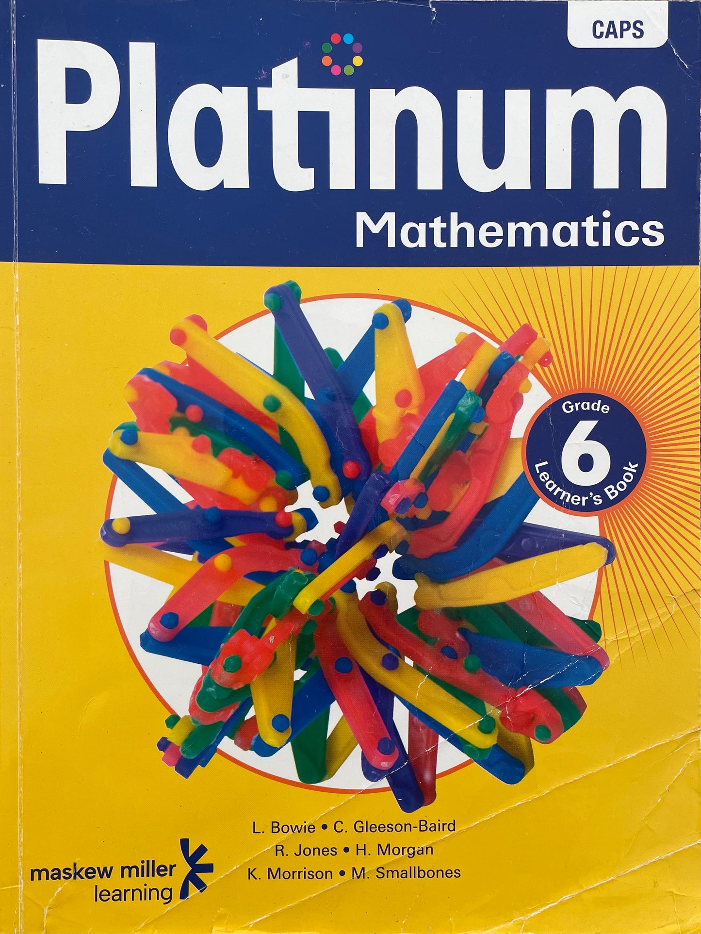 Platinum Mathematics Grade 6