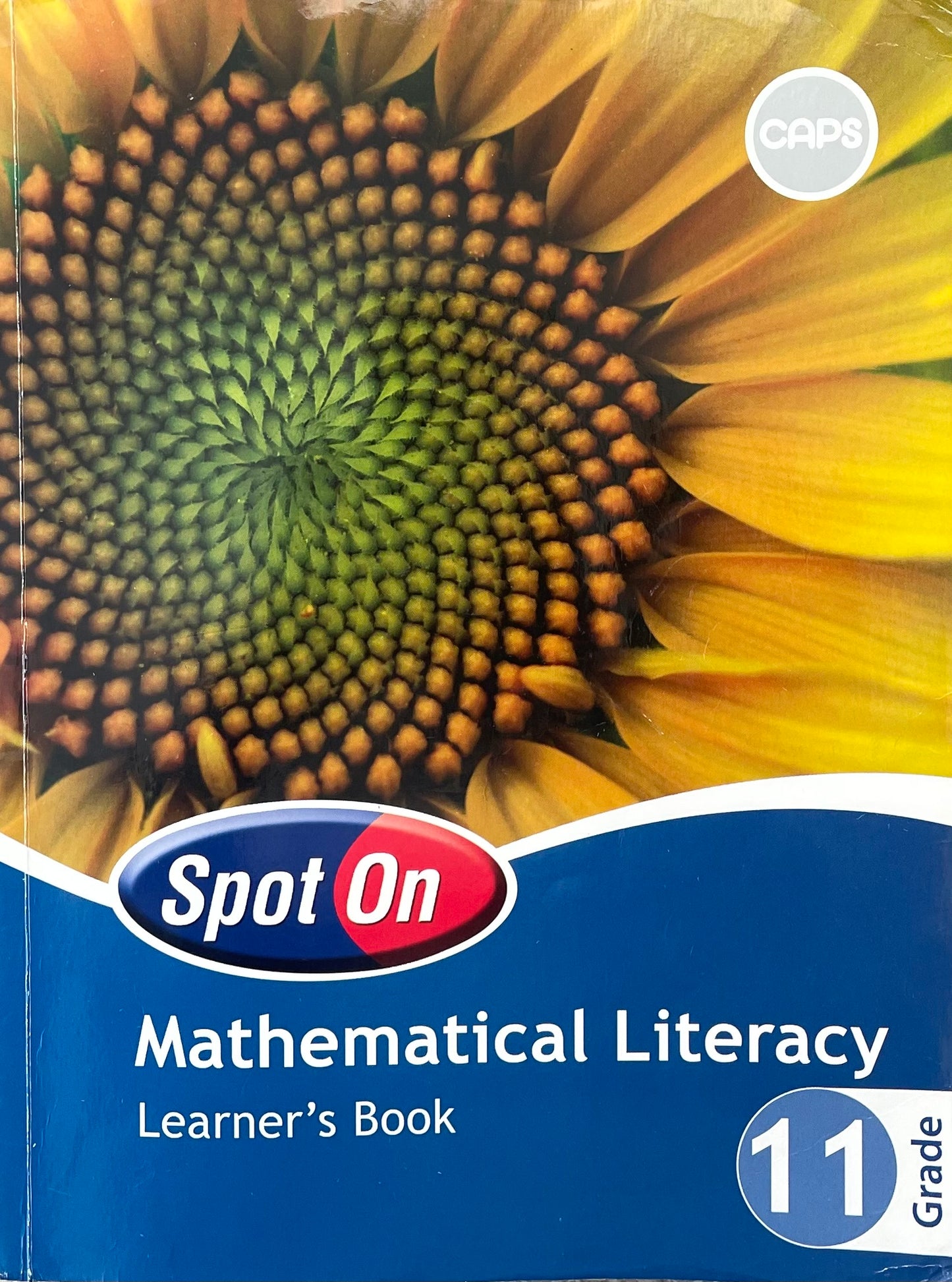 Spot On Mathematical Literacy Grade 11 (Learners Book)