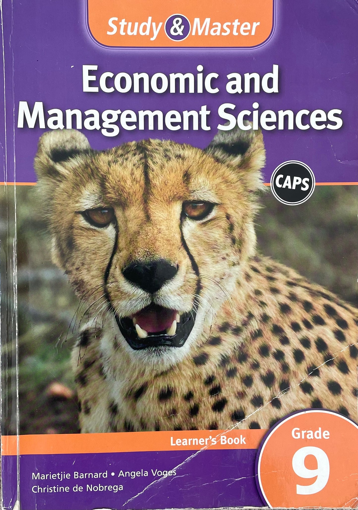 Study & Master Economic and Management Sciences Grade 9