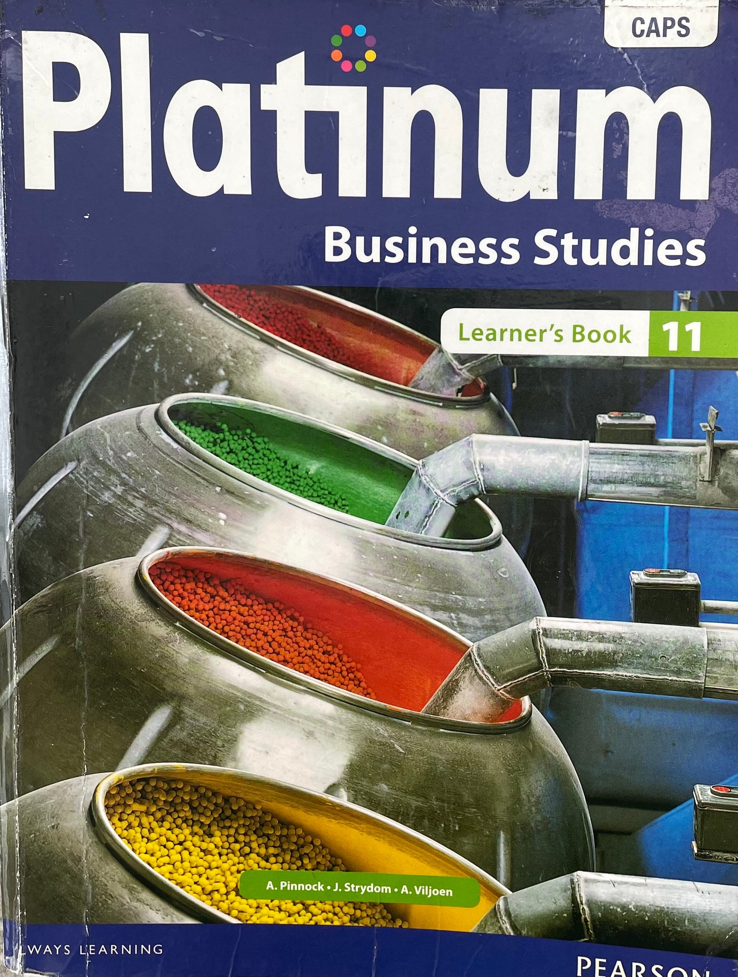 Platinum Business Studies Grade 11 Learner's Book