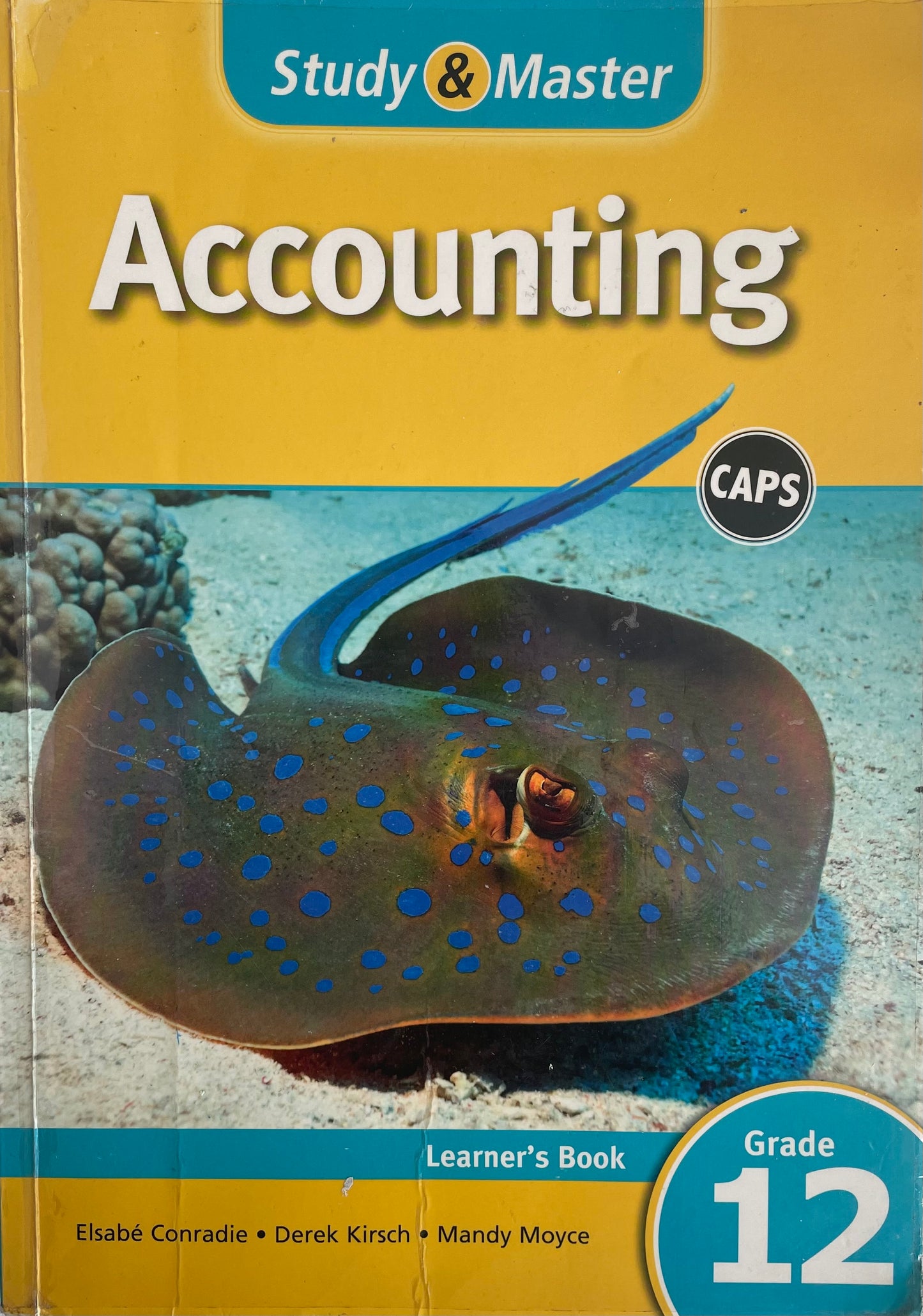 Study & Master Accounting Grade 12
